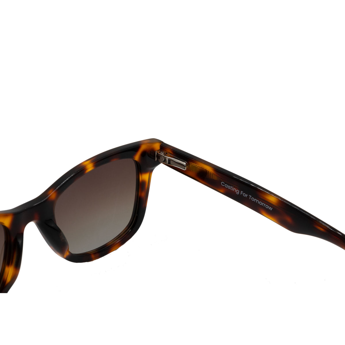 Carolinas Classic in Tortoise / Brown, hinge view
