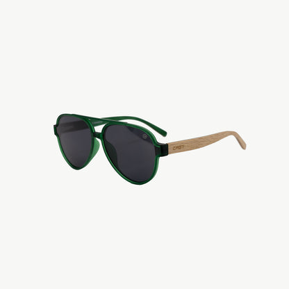 Bermuda Aviator green wood sunglasses