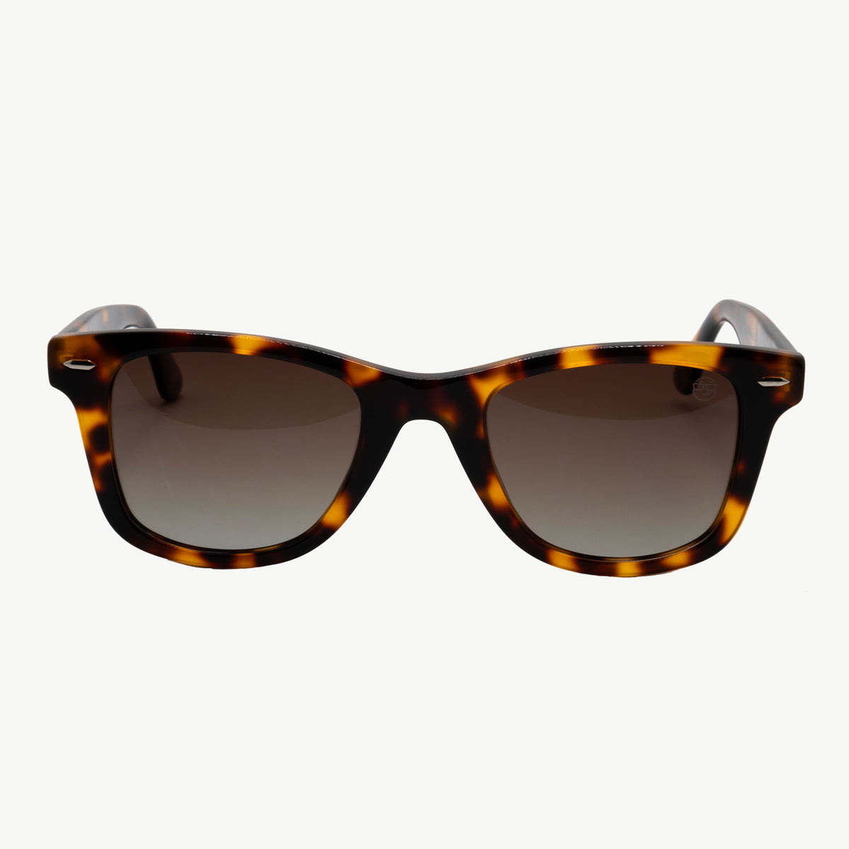 Carolinas Classic tortoise sunglasses