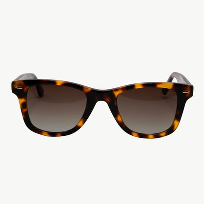 Carolinas Classic tortoise sunglasses